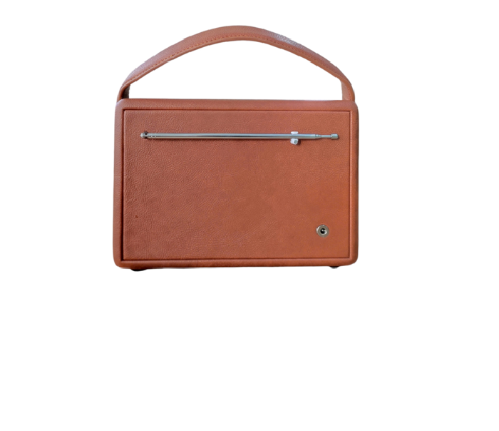 Sản phẩm Loa xách tay của Công ty TNHH MTV Điện tử Sao Mai